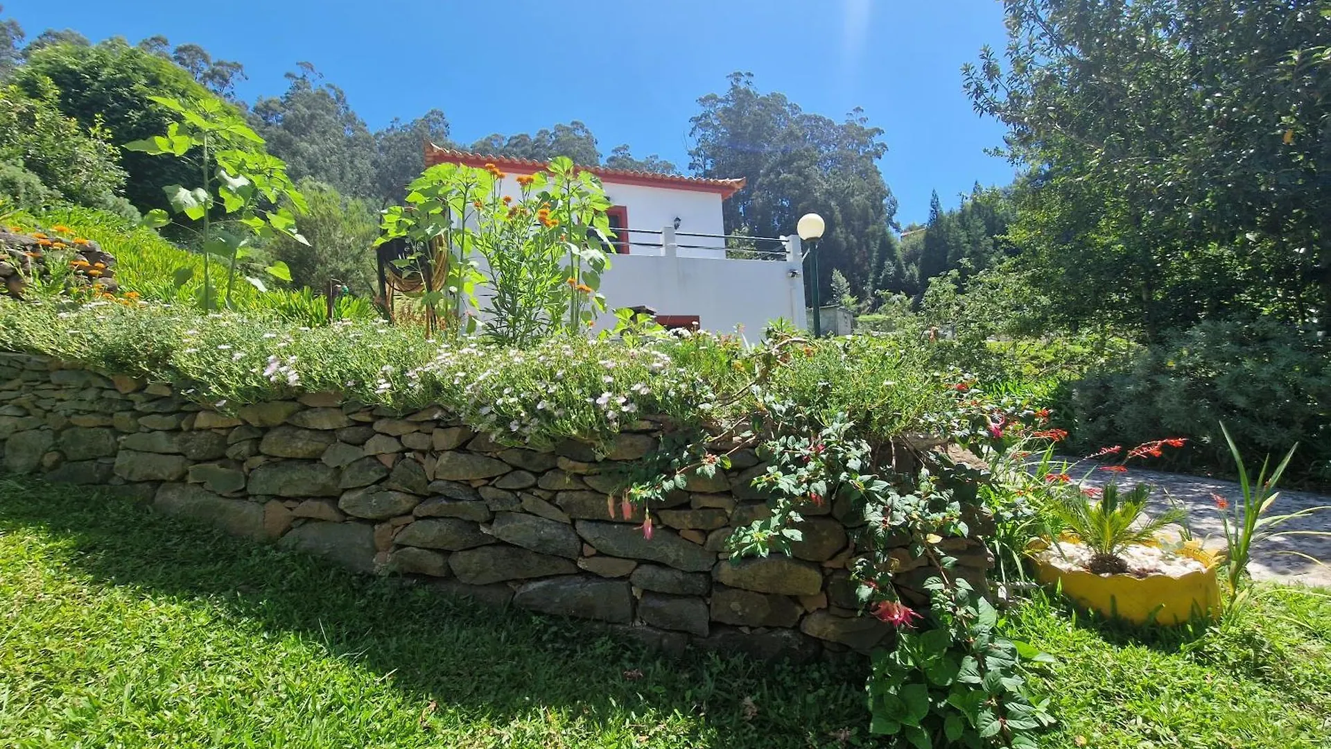 Holiday home Cantinho Rural Camacha  Portugal