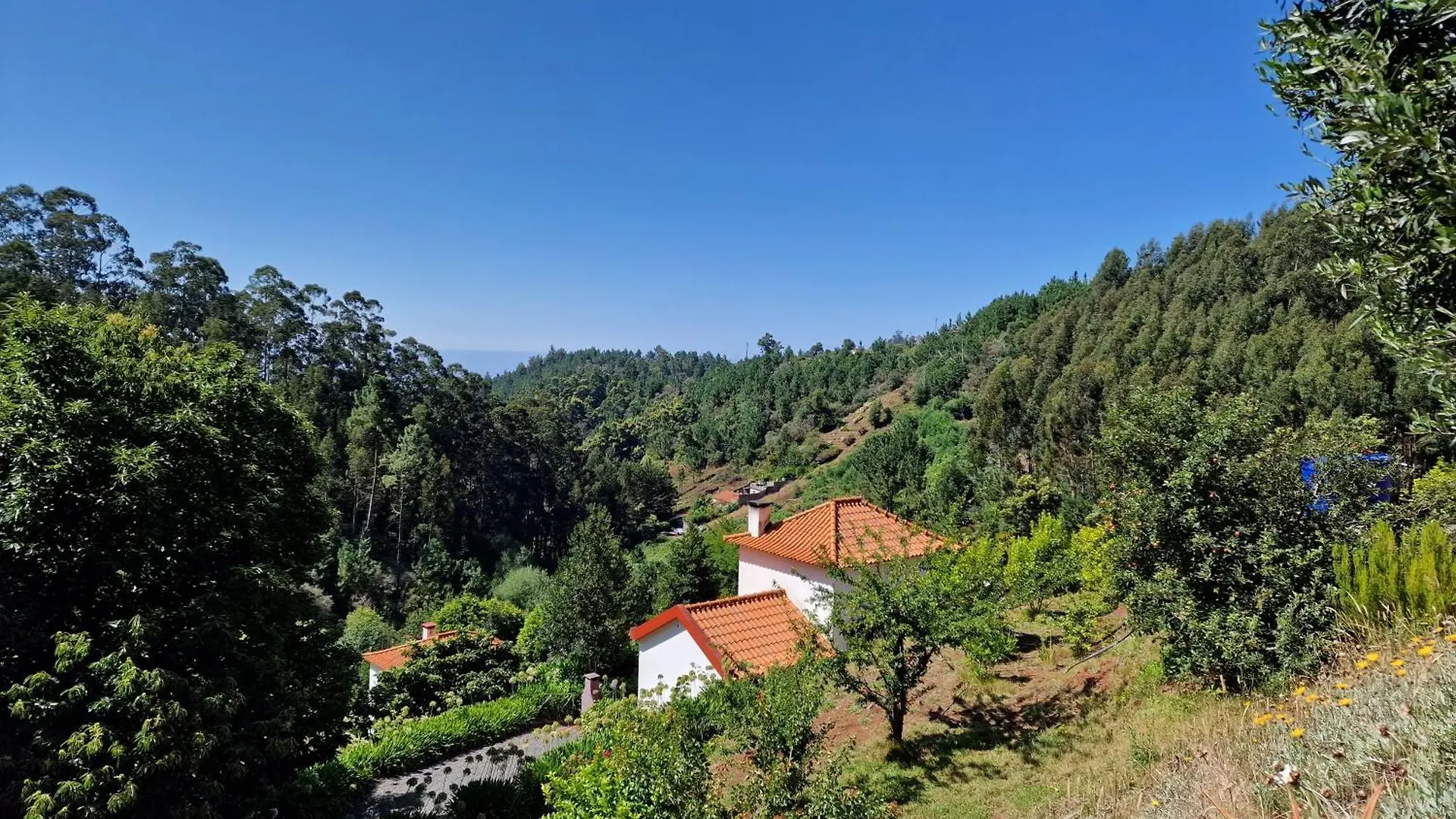Cantinho Rural Camacha  Holiday home